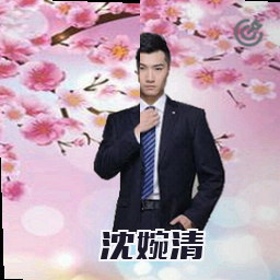 沈婉清